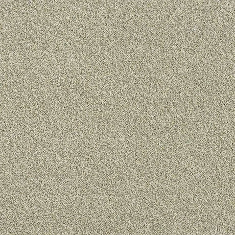 Abingdon Stainfree Rustique Twist Carpet Exen Flooring