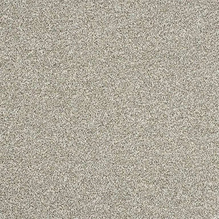 Abingdon Stainfree Rustique Twist Carpet Exen Flooring