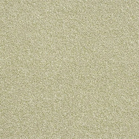 Abingdon Stainfree Rustique Twist Carpet Exen Flooring
