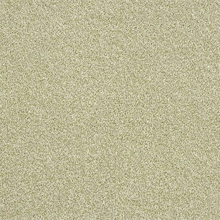 Abingdon Stainfree Rustique Ultra Carpet Exen Flooring