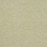 Abingdon Stainfree Rustique Ultra Carpet Exen Flooring