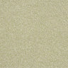 Abingdon Stainfree Rustique Ultra Carpet Exen Flooring