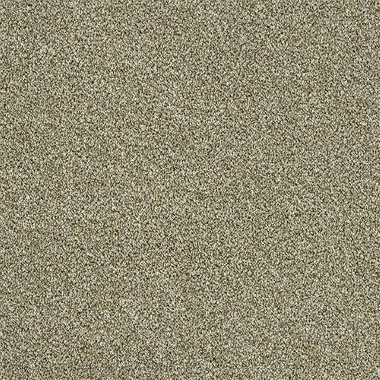Abingdon Stainfree Rustique Twist Carpet Exen Flooring