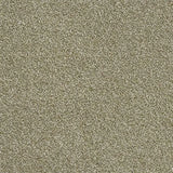 Abingdon Stainfree Rustique Twist Carpet Exen Flooring
