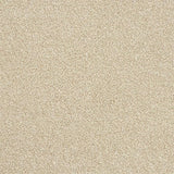 Abingdon Stainfree Rustique Twist Carpet Exen Flooring