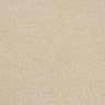 Abingdon Stainfree Rustique Twist Carpet Exen Flooring