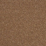 Abingdon Stainfree Rustique Ultra Carpet Exen Flooring