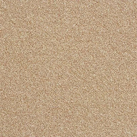 Abingdon Stainfree Rustique Ultra Carpet Exen Flooring