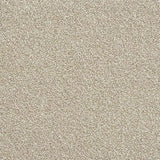 Abingdon Stainfree Rustique Ultra Carpet Exen Flooring