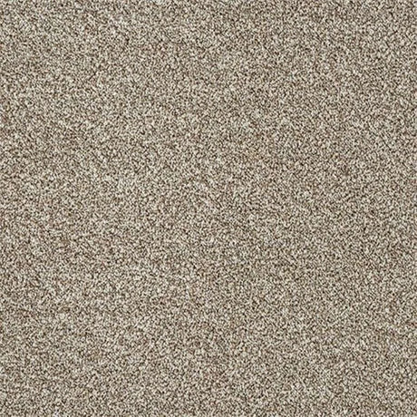 Abingdon Stainfree Rustique Ultra Carpet Exen Flooring