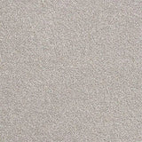 Abingdon Stainfree Rustique Ultra Carpet Exen Flooring
