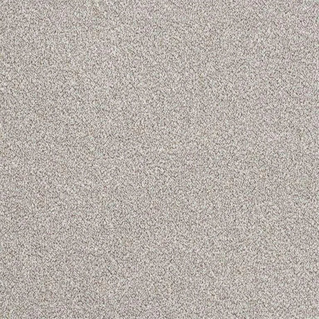Abingdon Stainfree Rustique Ultra Carpet Exen Flooring