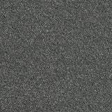 Abingdon Stainfree Rustique Ultra Carpet Exen Flooring