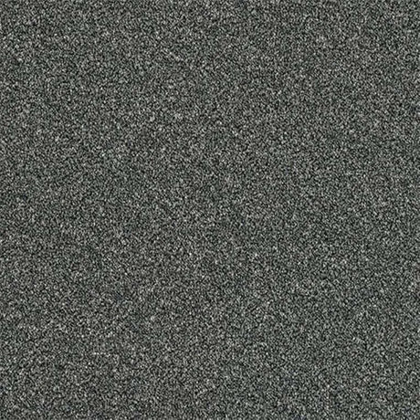 Abingdon Stainfree Rustique Ultra Carpet Exen Flooring