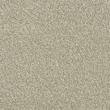Abingdon Stainfree Rustique Ultra Carpet Exen Flooring