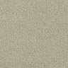 Abingdon Stainfree Rustique Ultra Carpet Exen Flooring