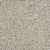 Abingdon Stainfree Rustique Ultra Carpet Exen Flooring
