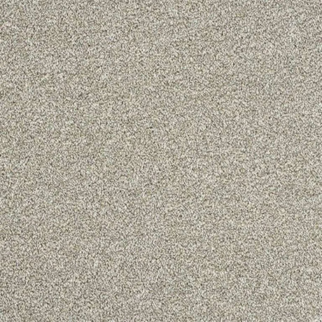 Abingdon Stainfree Rustique Ultra Carpet Exen Flooring