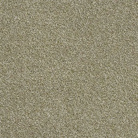 Abingdon Stainfree Rustique Ultra Carpet Exen Flooring