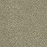 Abingdon Stainfree Rustique Ultra Carpet Exen Flooring