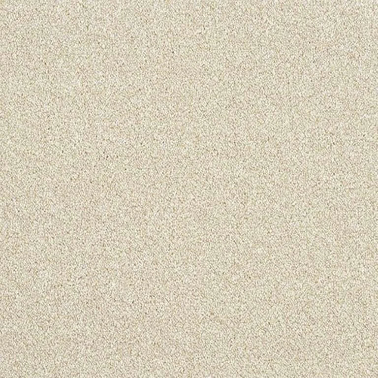 Abingdon Stainfree Rustique Ultra Carpet Exen Flooring