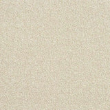 Abingdon Stainfree Rustique Ultra Carpet Exen Flooring