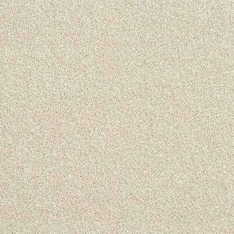 Abingdon Stainfree Rustique Ultra Carpet Exen Flooring