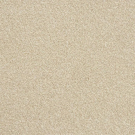 Abingdon Stainfree Rustique Ultra Carpet Exen Flooring