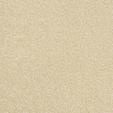 Abingdon Stainfree Rustique Ultra Carpet Exen Flooring