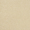 Abingdon Stainfree Rustique Ultra Carpet Exen Flooring