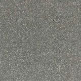 Abingdon Stainfree Satin Touch Carpet Exen Flooring