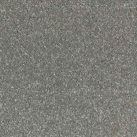 Abingdon Stainfree Satin Touch Carpet Exen Flooring