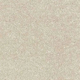 Abingdon Stainfree Satin Touch Carpet Exen Flooring