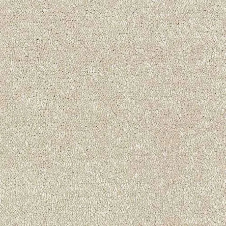 Abingdon Stainfree Satin Touch Carpet Exen Flooring