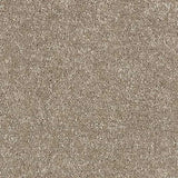Abingdon Stainfree Satin Touch Carpet Exen Flooring