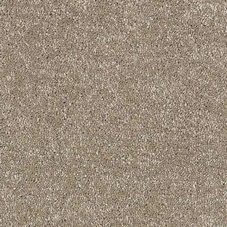 Abingdon Stainfree Satin Touch Carpet Exen Flooring