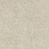 Abingdon Stainfree Satin Touch Carpet Exen Flooring