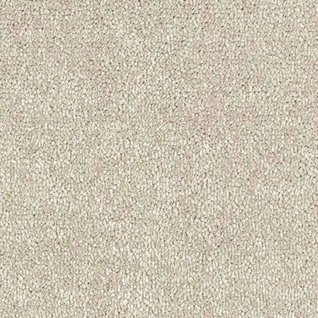 Abingdon Stainfree Satin Touch Carpet Exen Flooring