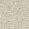 Abingdon Stainfree Satin Touch Carpet Exen Flooring