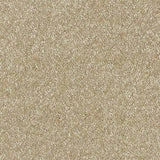 Abingdon Stainfree Satin Touch Carpet Exen Flooring