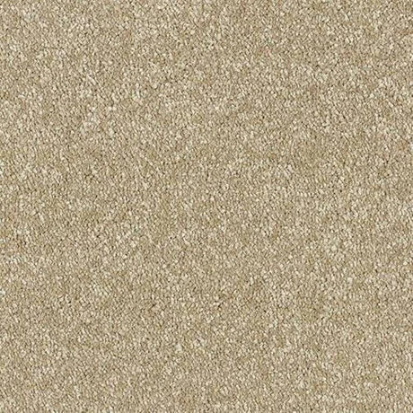 Abingdon Stainfree Satin Touch Carpet Exen Flooring