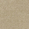 Abingdon Stainfree Satin Touch Carpet Exen Flooring
