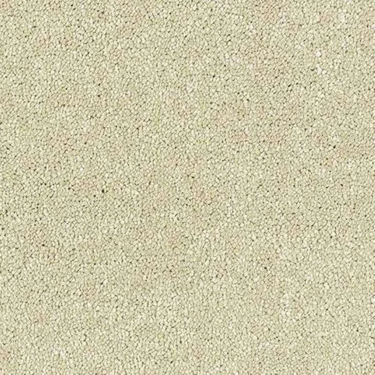 Abingdon Stainfree Satin Touch Carpet Exen Flooring