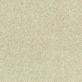 Abingdon Stainfree Satin Touch Carpet Exen Flooring