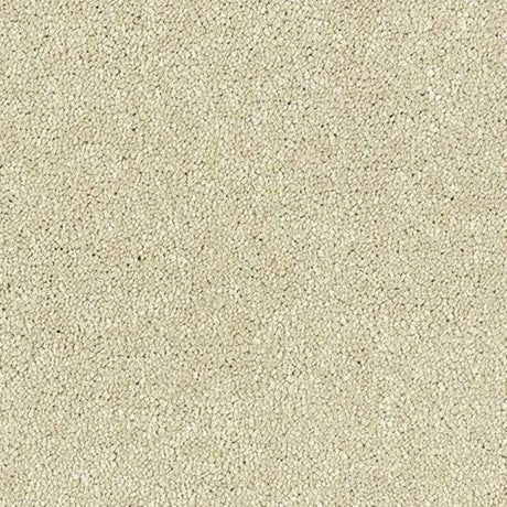 Abingdon Stainfree Satin Touch Carpet Exen Flooring