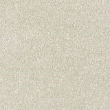 Abingdon Stainfree Satin Touch Carpet Exen Flooring