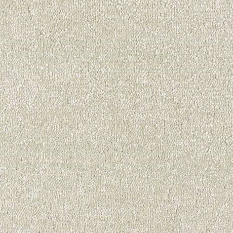 Abingdon Stainfree Satin Touch Carpet Exen Flooring