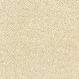 Abingdon Stainfree Satin Touch Carpet Exen Flooring