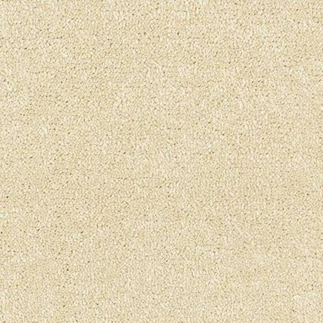 Abingdon Stainfree Satin Touch Carpet Exen Flooring
