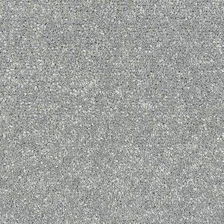 Abingdon Stainfree Satin Touch Carpet Exen Flooring
